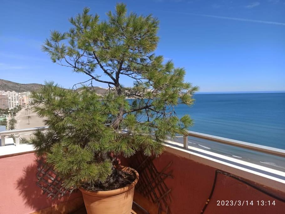 Espectacular Terraza Y Vistas En 1A Linea De Playa Daire Cullera Dış mekan fotoğraf