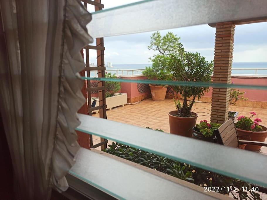 Espectacular Terraza Y Vistas En 1A Linea De Playa Daire Cullera Dış mekan fotoğraf